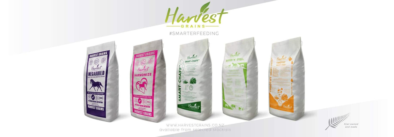 Harvest Grains Feeds