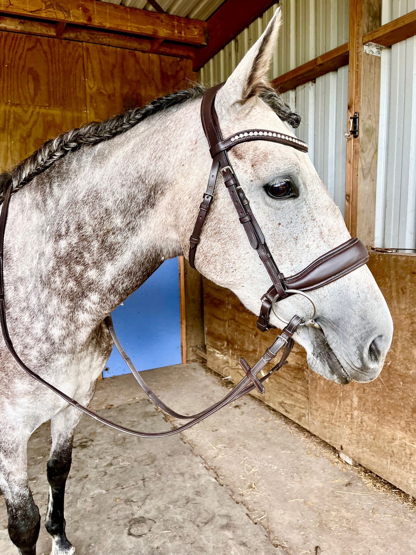 Limerence Bridle from Holbrook Equestrian