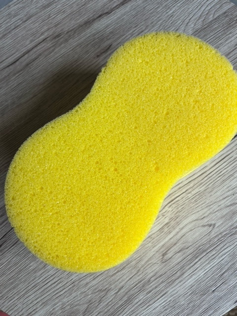 Eventor Sponge